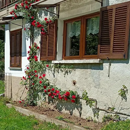 Vacanze E Relax Nel Tatil Evi *